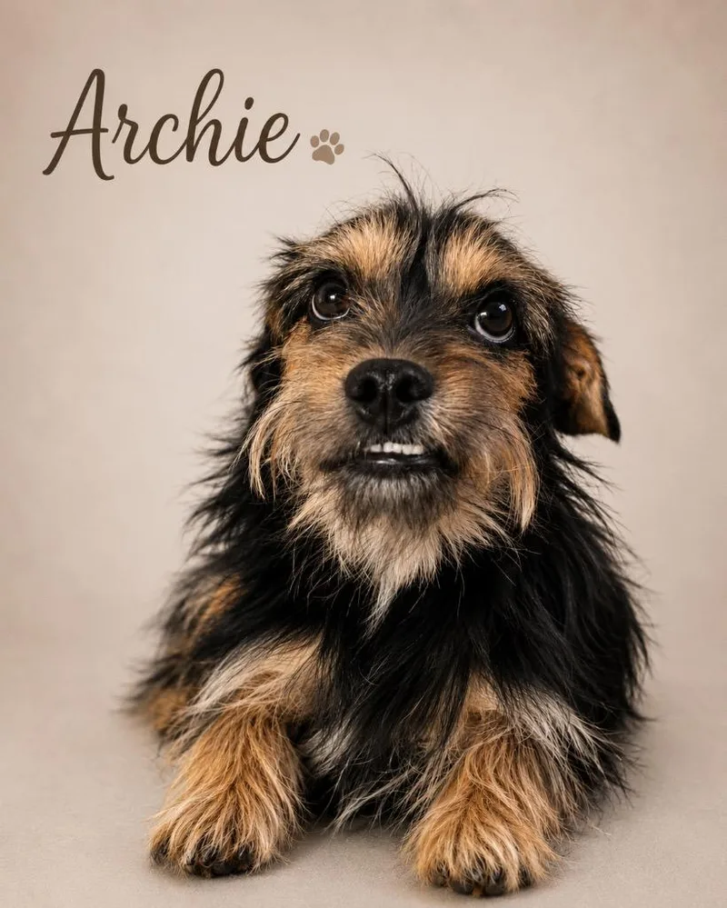 Archie
