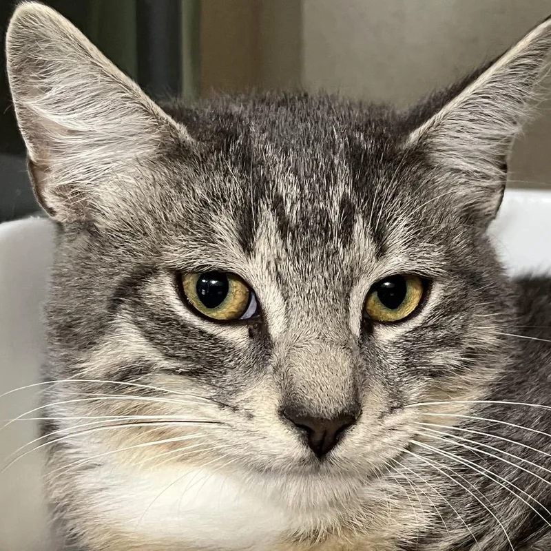 Jeremiah thumbnail 2