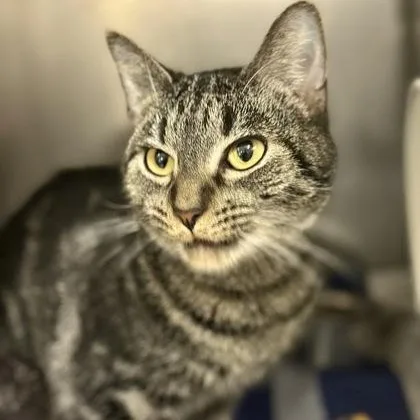 Carlie Jefferson thumbnail 2