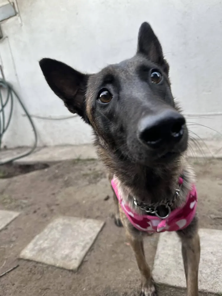 Minka  Located In thumbnail 3