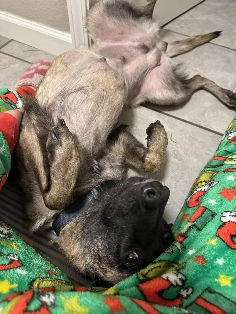 Minka  Located In thumbnail 4