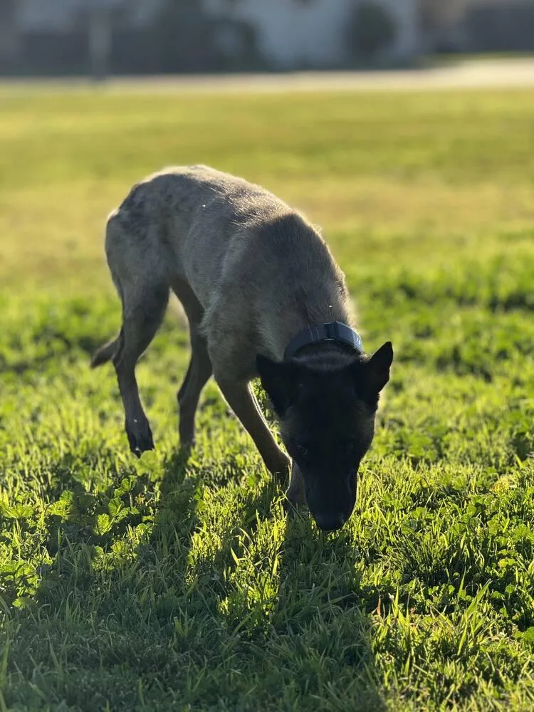 Minka  Located In thumbnail 5