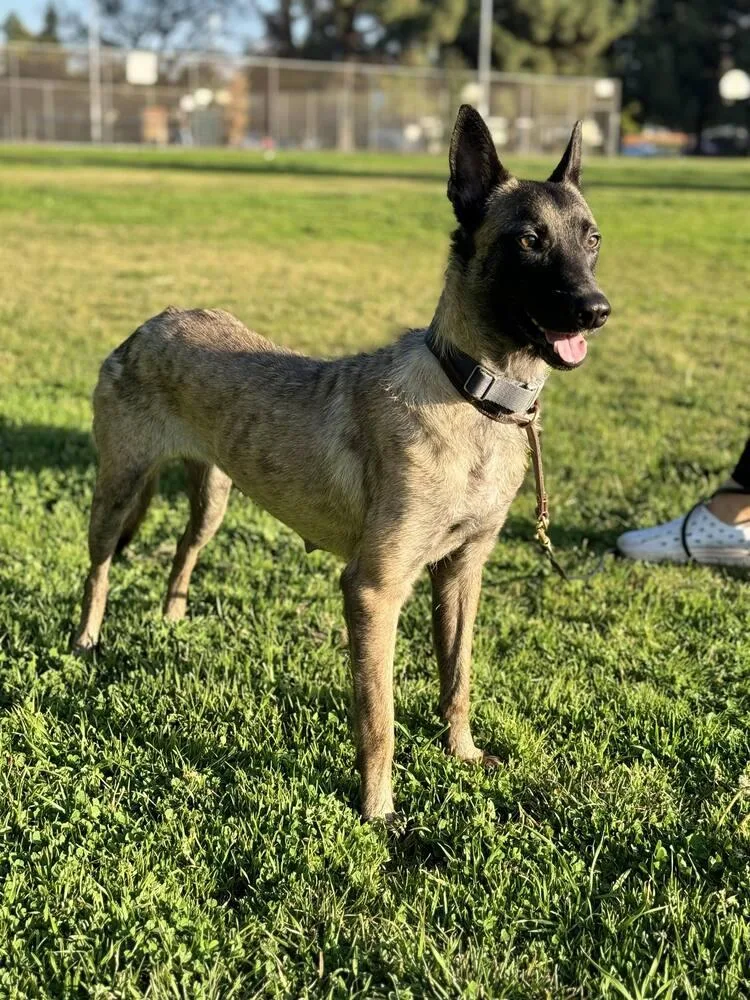 Minka  Located In thumbnail 6