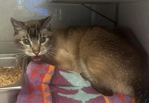 Eugene