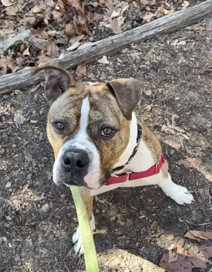 Bahama Breeze thumbnail 2