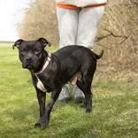 Mama Bear thumbnail 2