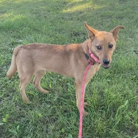 Charlotte thumbnail 2