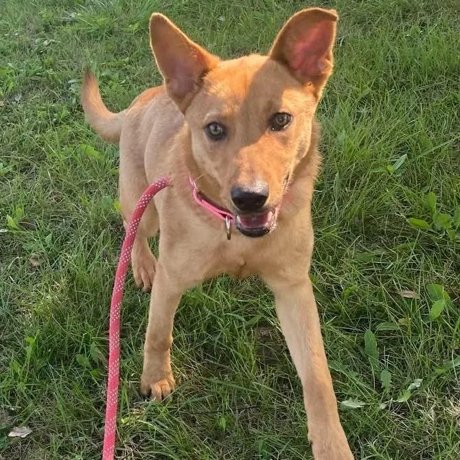 Charlotte thumbnail 3