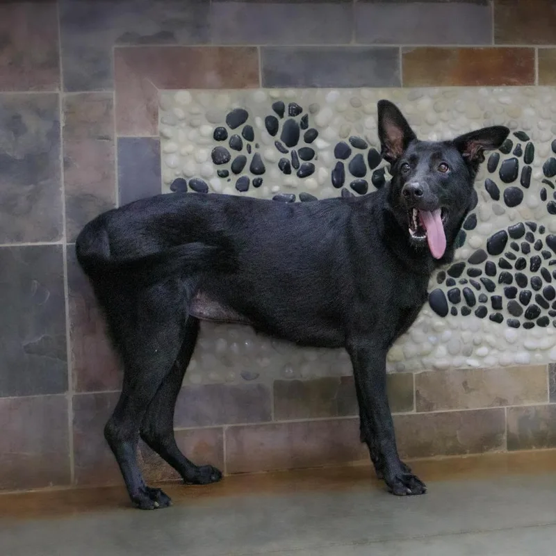 Lorraine thumbnail 2