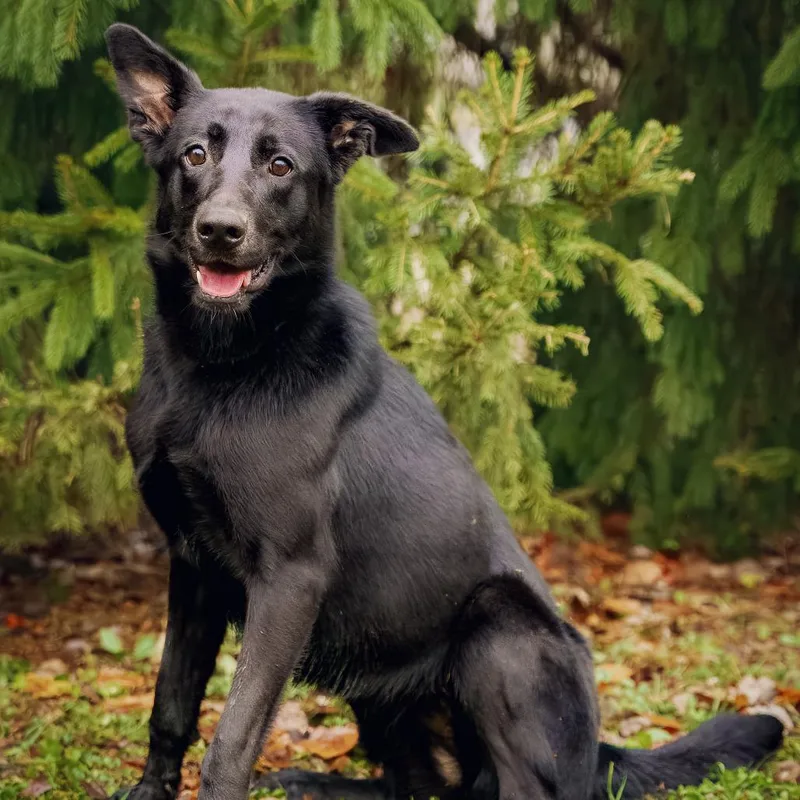 Lorraine thumbnail 3