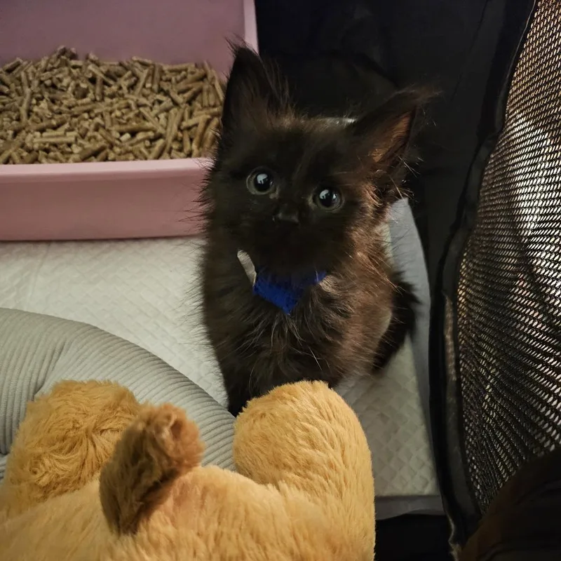 Nurse Dana thumbnail 2