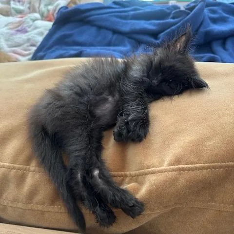 Nurse Dana thumbnail 3