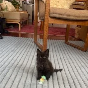 Nurse Dana thumbnail 5