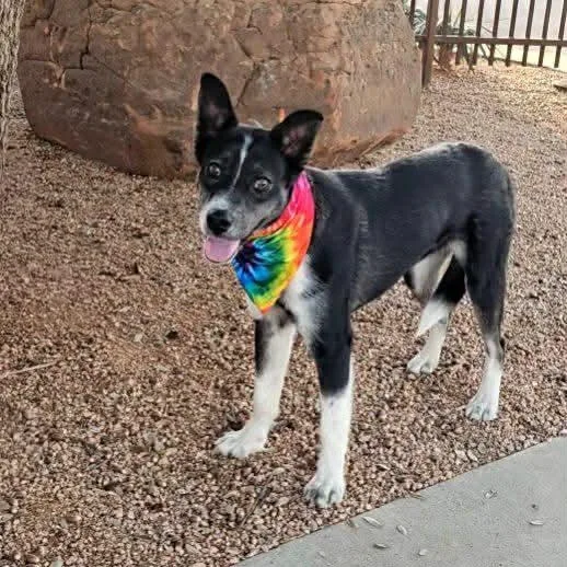 Jasper Ray thumbnail 5