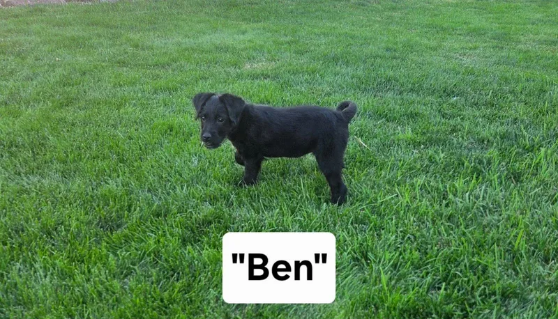 Ben