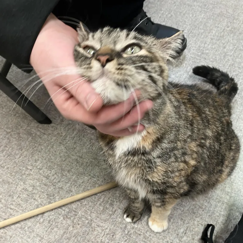 Jen From Accounting thumbnail 2