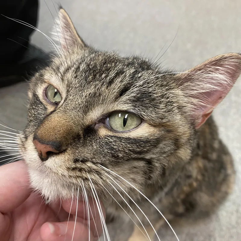 Jen From Accounting thumbnail 3