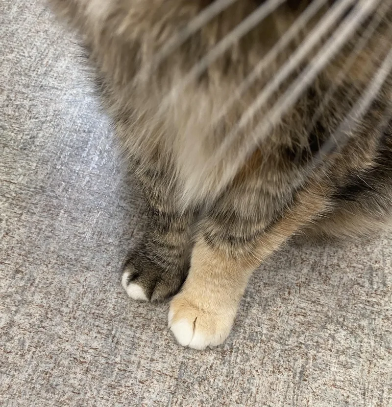 Jen From Accounting thumbnail 4