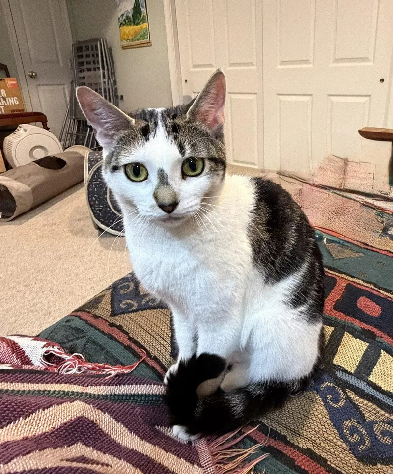 Cora Willow Grove