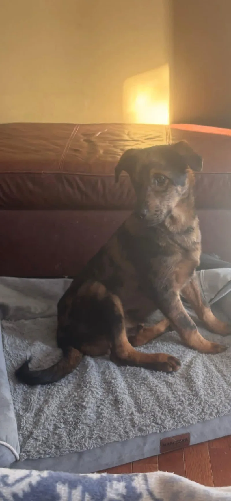 Jack White thumbnail 2