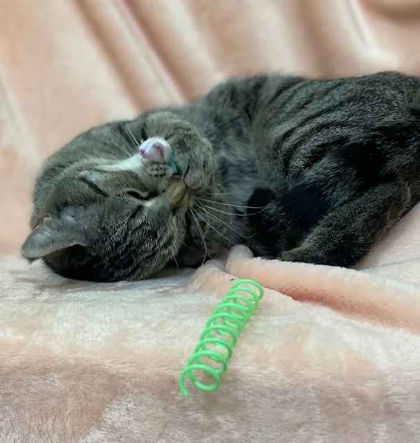 Kayleigh thumbnail 2