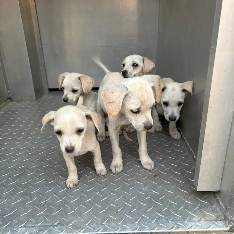 Brigid C thumbnail 2