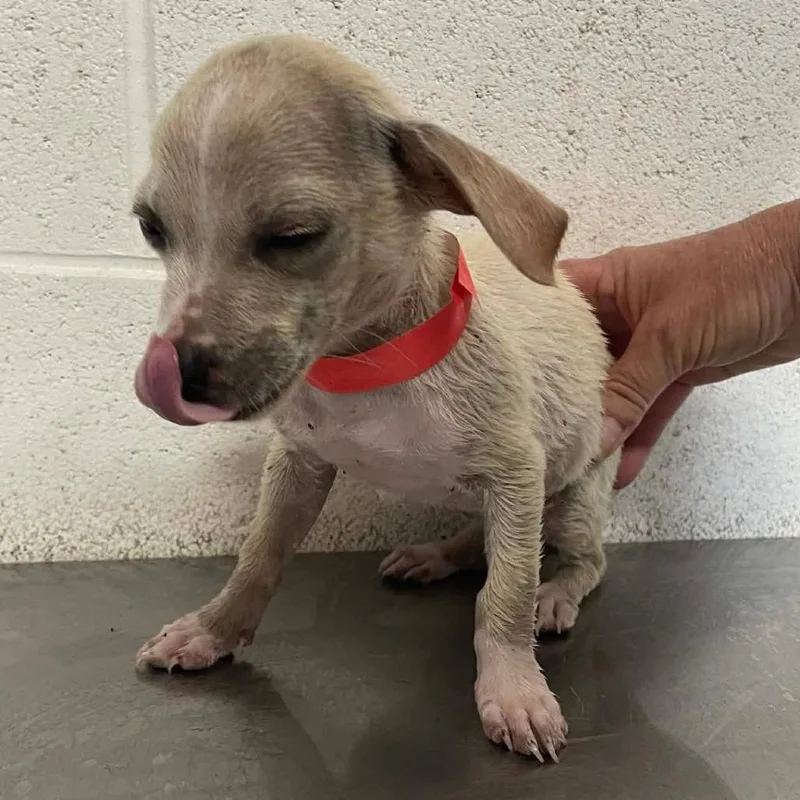 Brigid C thumbnail 5