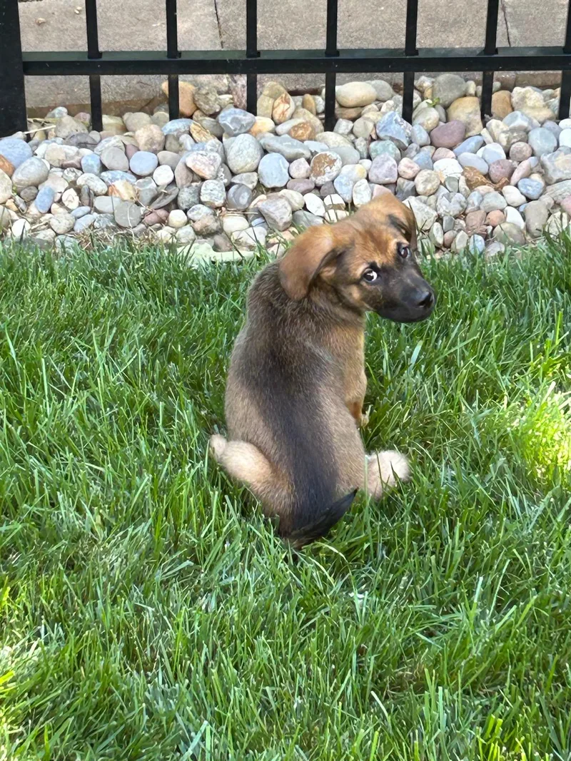 Benny