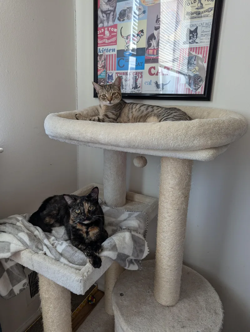 Tortina & Louise thumbnail 2
