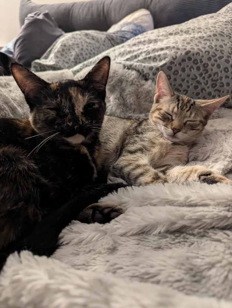 Tortina & Louise thumbnail 5