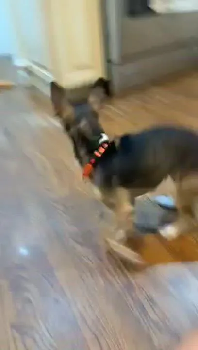 Lucy thumbnail 2