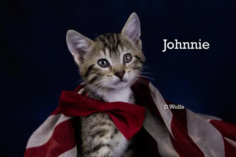 Johnnie thumbnail 2