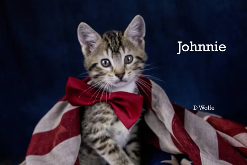 Johnnie thumbnail 5