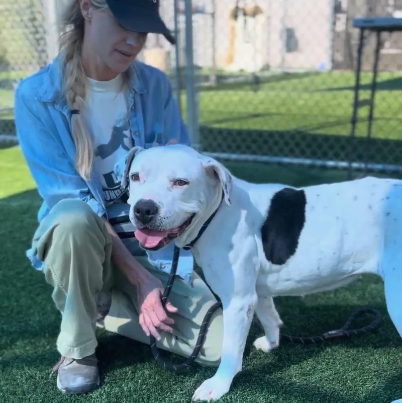 Robin Urgent!!!! thumbnail 4