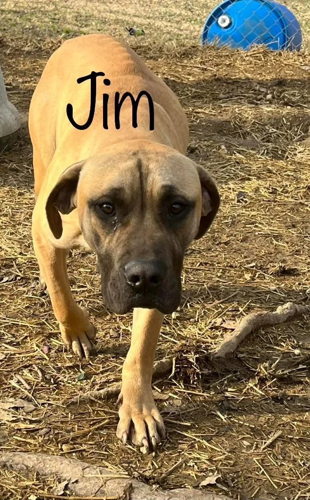 Jim B thumbnail 4