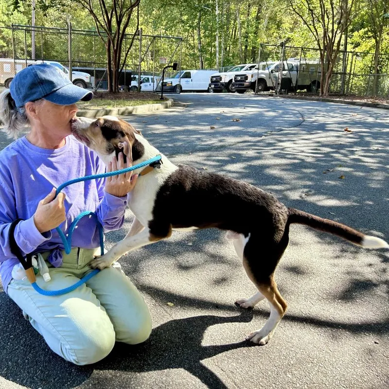 Peanut Butter Crunch thumbnail 6