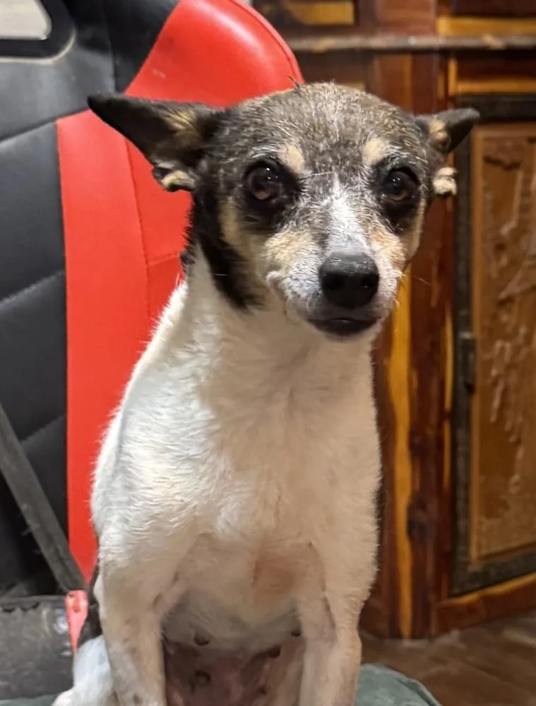 Molly thumbnail 2