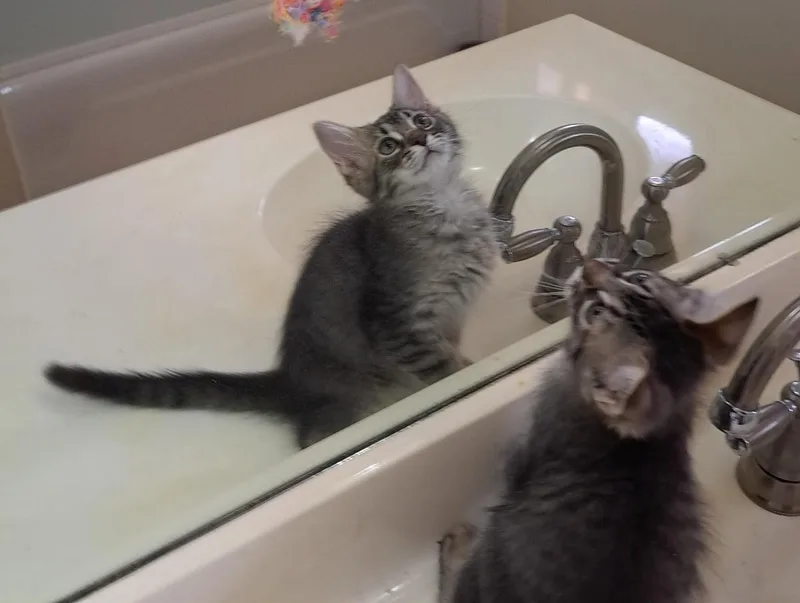 Honey Bonded To Sonny thumbnail 2