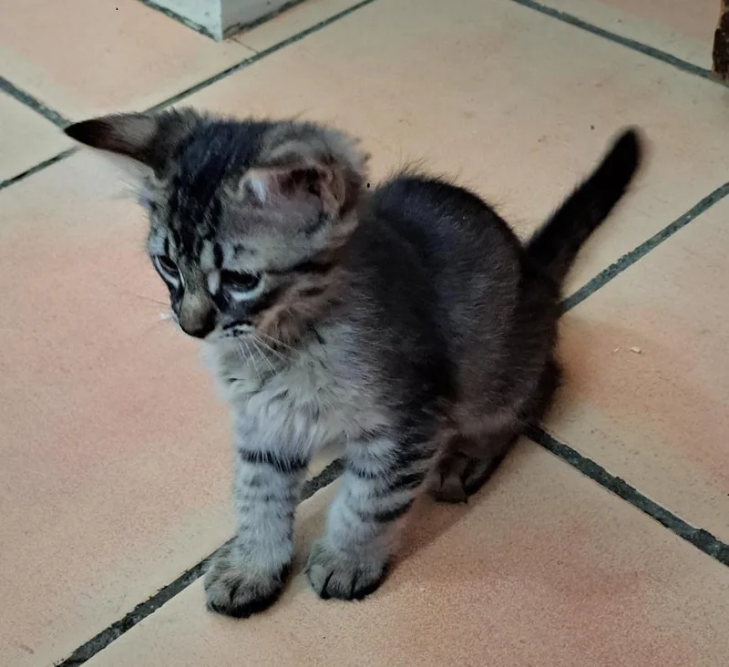 Honey Bonded To Sonny thumbnail 3