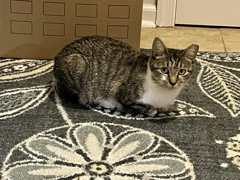 Mama Chloe thumbnail 2