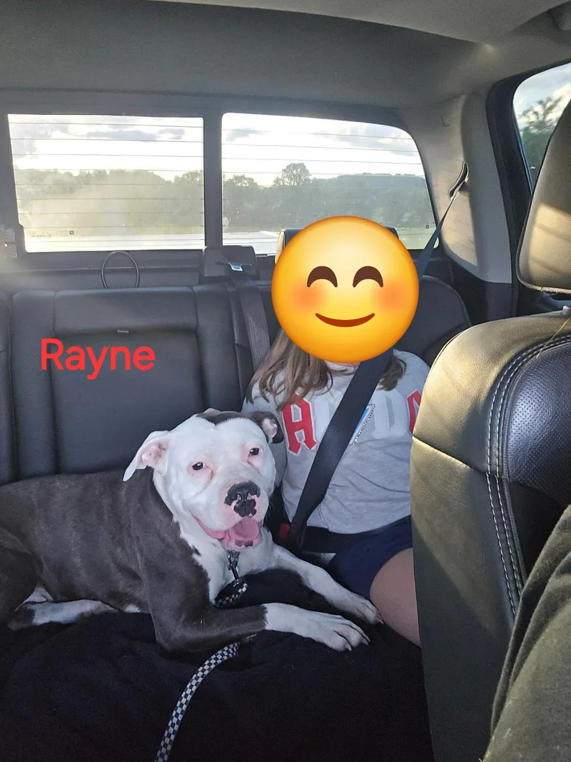 RainRayne thumbnail 5