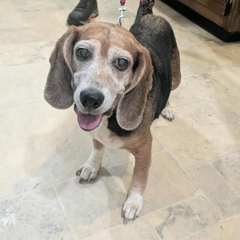 Ellie
