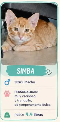 Simba