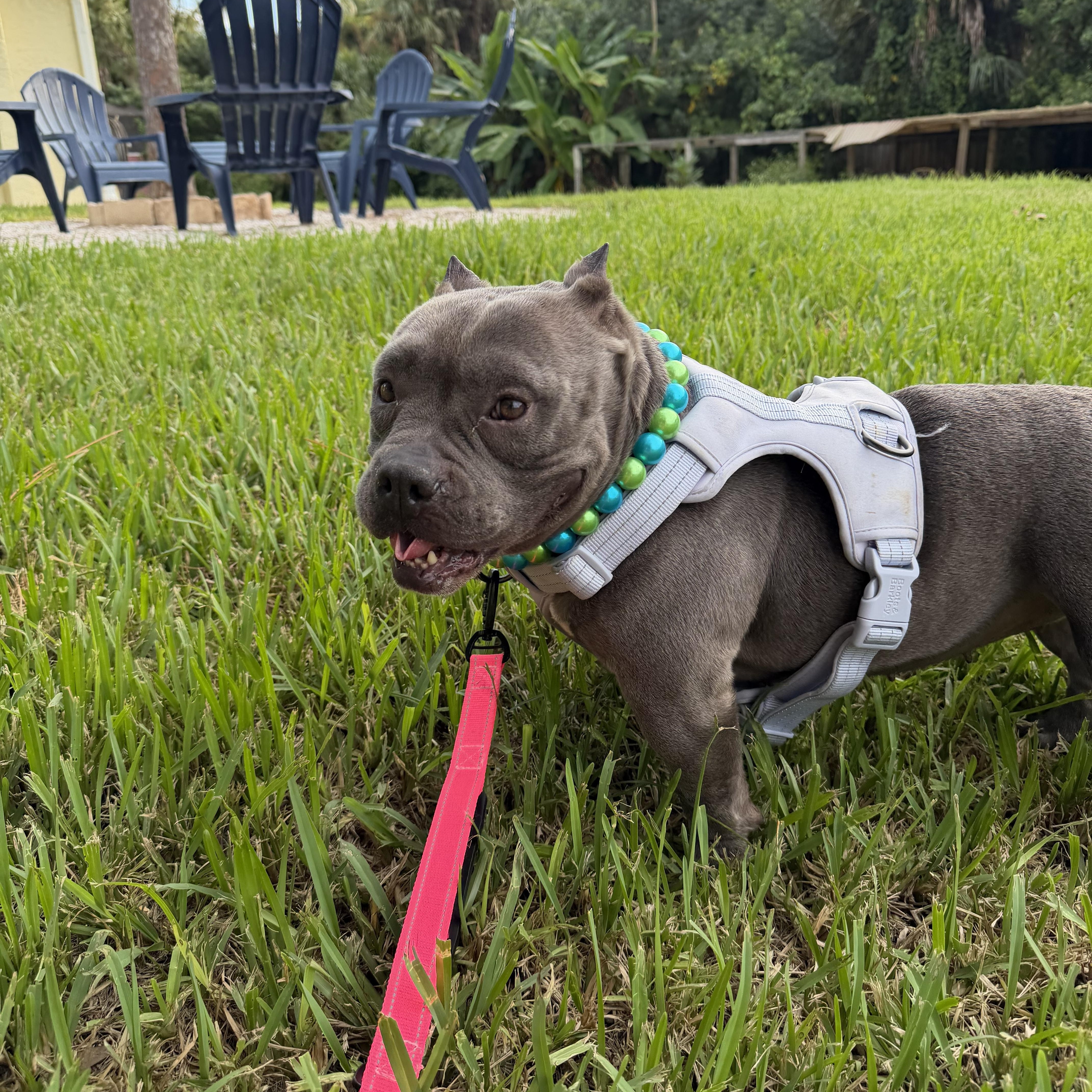 Missy
