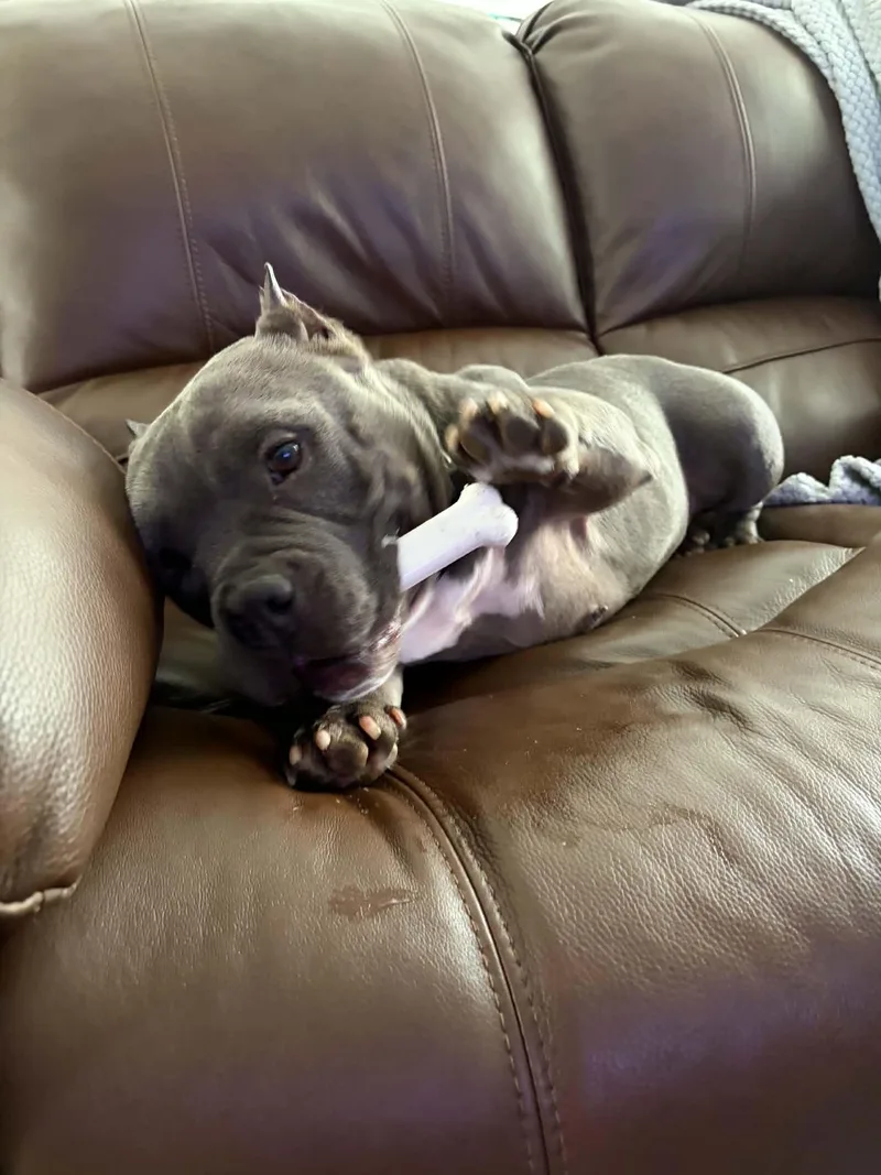 Missy thumbnail 3