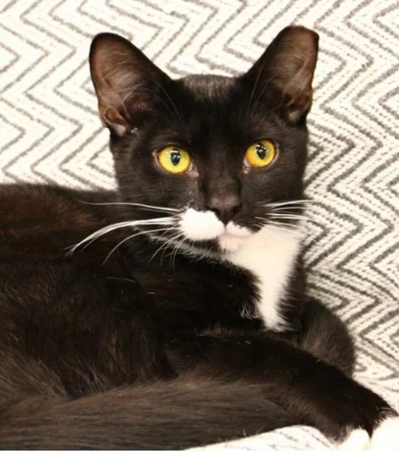 Wicka Silo thumbnail 2