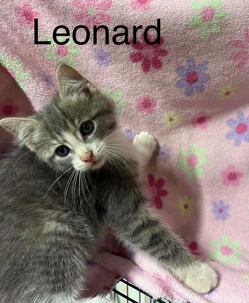 Leonard