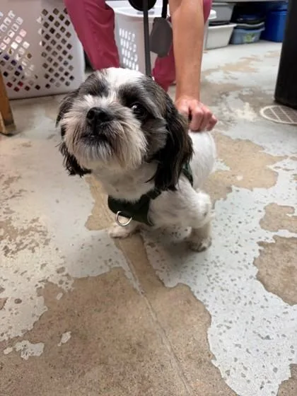 Jack