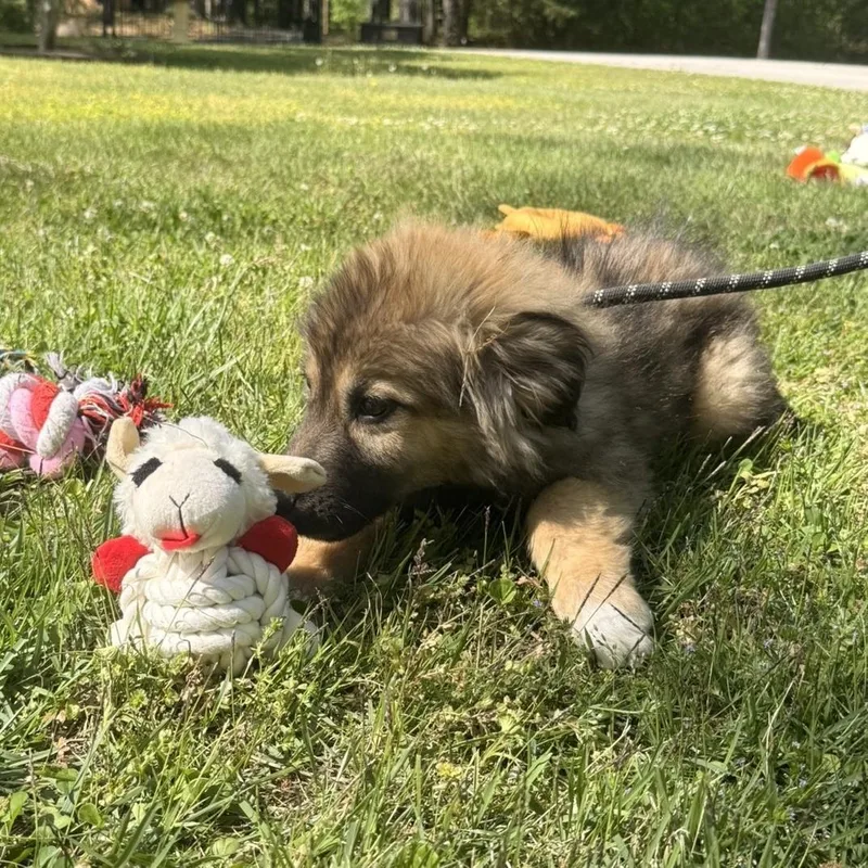 Valentina thumbnail 2