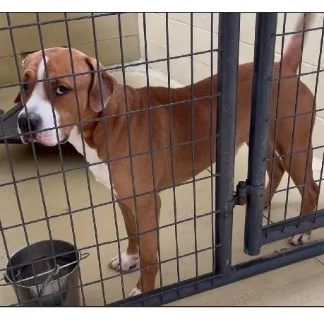 Titan Moon thumbnail 5